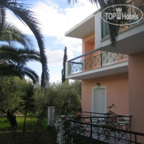 Villa Olive grove