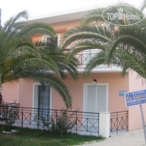 Villa Olive grove