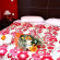 Zante Calinica Apart Hotel 