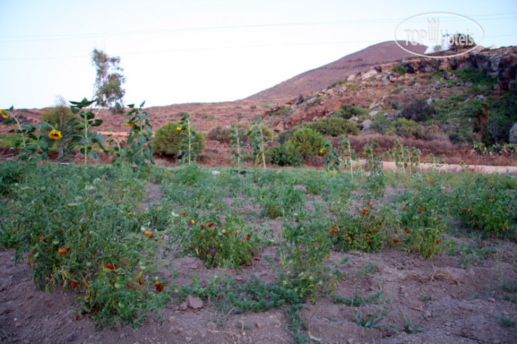 New photos from tourists Pelagos Hotel 3*