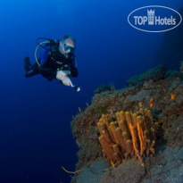 Makris Hotel Дайвинг