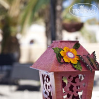 The Dahlia Collection by Angel 