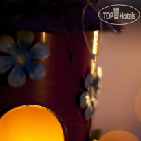 The Dahlia Collection by Angel 