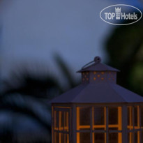 The Jasmine Collection by Angel 