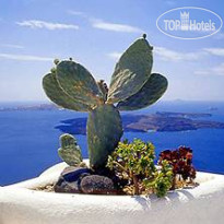 Altana Traditional Houses & Suites