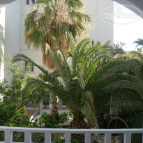 Poseidon Double Standard Room