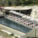 Andronis Concept Wellness Resort 