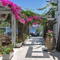 Afroditi Venus Beach Hotel & Spa 