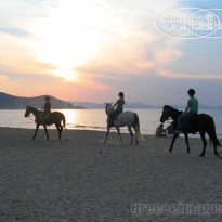 Al Mare Studios & Rooms Пляж