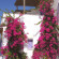 Ammos Studios Hotel 