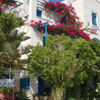 Rena Valetta Studios 