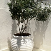 Sigma Studios on The Beach 