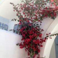 Sigma Studios on The Beach 