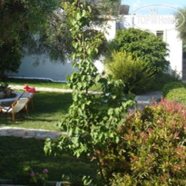 Scala Apartments