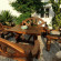Medusa Beach Resort & Suites 