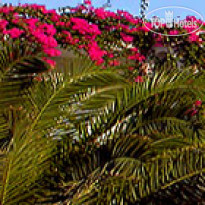 Dionysos Sea Side Resort