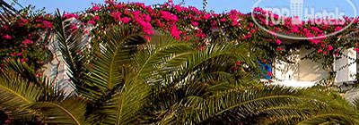 New photos from tourists Dionysos Sea Side Resort 4*