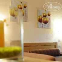 Asimina Guesthouse 