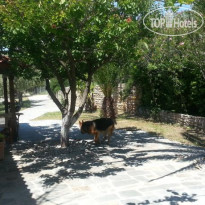 Giola Bungalows Sirines