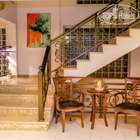 Thalassies Nouveau reception