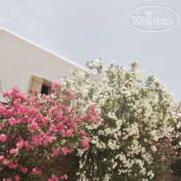 Mr & Mrs White Mykonos