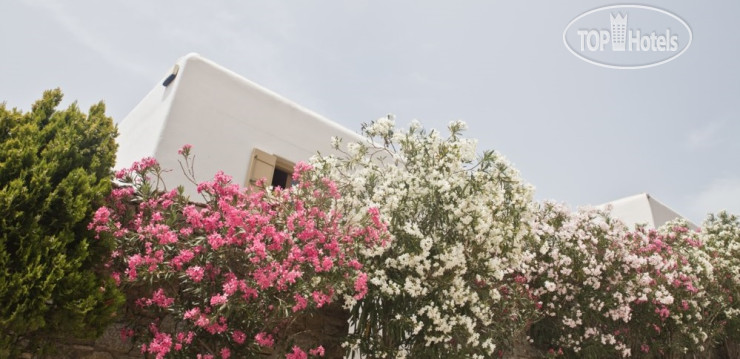 Hotel photo Mr & Mrs White Mykonos 4*