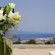 Mr & Mrs White Mykonos 