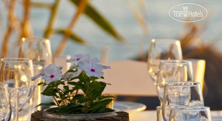 New photos from tourists Hippie Chic Hotel 