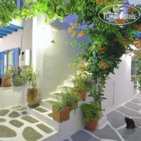 Nazos Hotel 