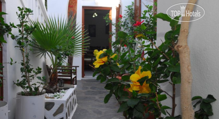Hotel photo Ibiscus Hotel 1*