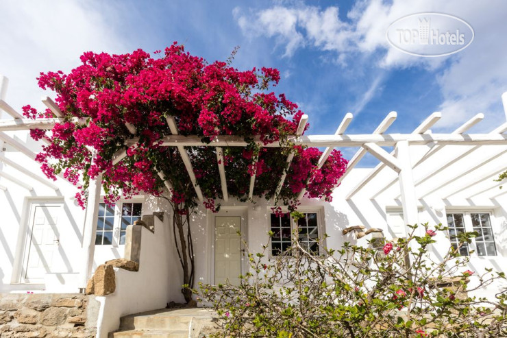 Hotelier's photos Rhenia Bungalows 3*