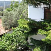 Manolas Studios 