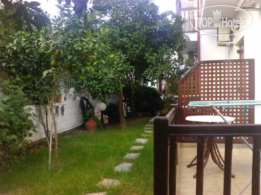 Hotel photo Morfo 1*