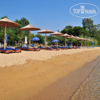 Kleopatra Villas 