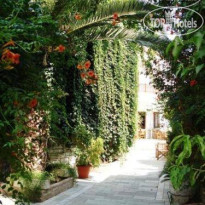 Pothos Hotel 