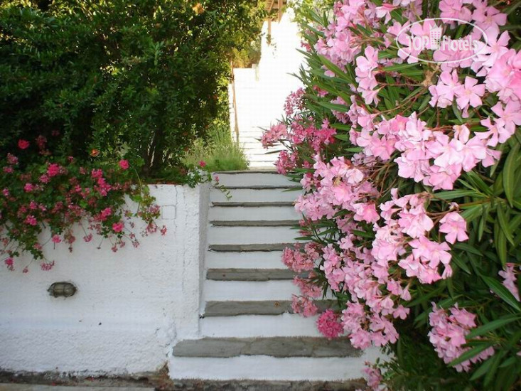 New photos from tourists Skiathos Holidays 2*