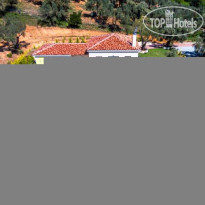 King Size Villas