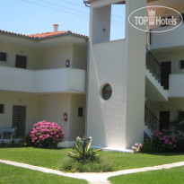 Palatino Studios 
