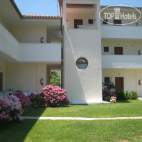 Palatino Studios 