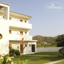Palatino Studios 