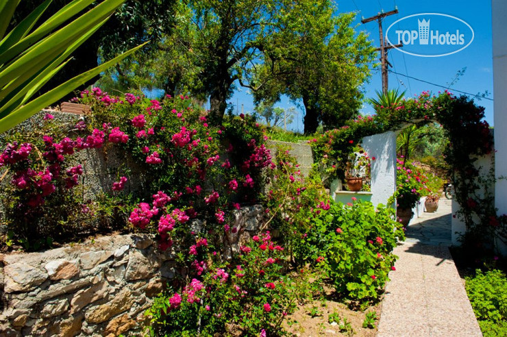 New photos from tourists Camelia Studios 3*