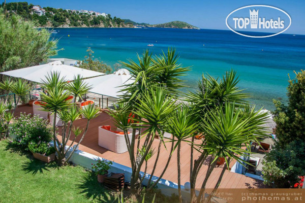Hotel photo Dafni Hotel Megali Ammos 4*