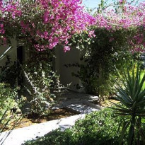 Surfing Beach Village & Camping 