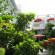 Alexandra s Place 