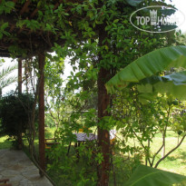 Miloni Studios Сад