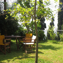 Miloni Studios Сад