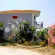 Milos Studios 