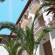 Kastalia Boutique Hotel 