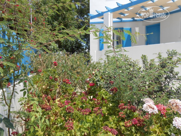 Livanios Studios