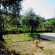 Asterias Studios 